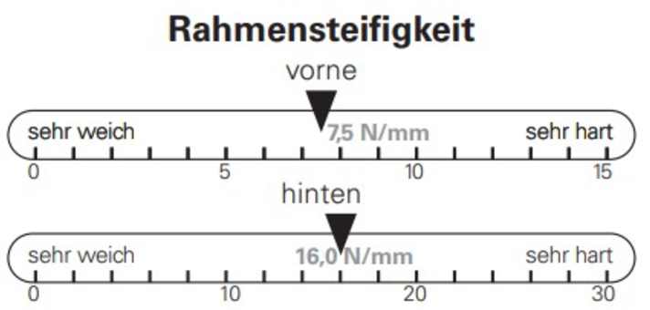Das Canyon Fully besitzt laut BIKE-Messungen eine sehr ausgewogene Rahmensteifigkeit.
