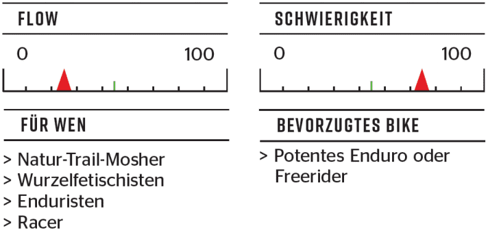   Wurzelmassaker: Haideralm-Trail