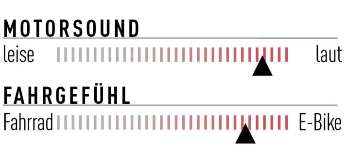 Kein Leisetreter und auch kein unauffälliger Rückenwind: Der Bosch Performance CX bringt dynamischen und kraftvollen Schub und bekennt sich klar zu E-Bike-Feeling.
