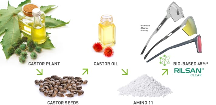 Nachhaltig: Aus den gepressten Kernen der Rizinuspflanze entsteht ein biobasiertes Polymer