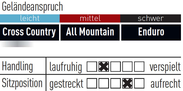   Giant Dirt E+ 1 Ltd - 2899 Euro