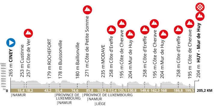 The profile of the men's Flèche Wallonne 2025