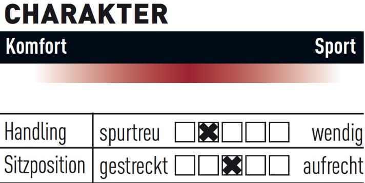   Bergamont E-Trailster Elite