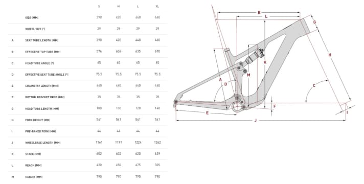 The geometry of the Focus Vam² SL