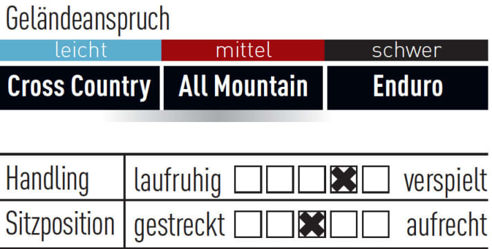 Bergamont Trailster C 7.0