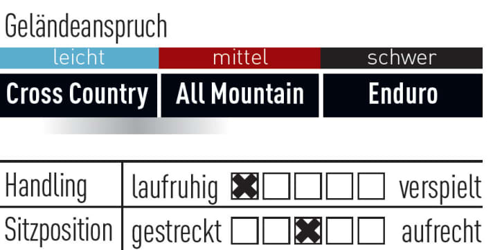   Specialized Turbo Levo HT 29 - 3199 Euro