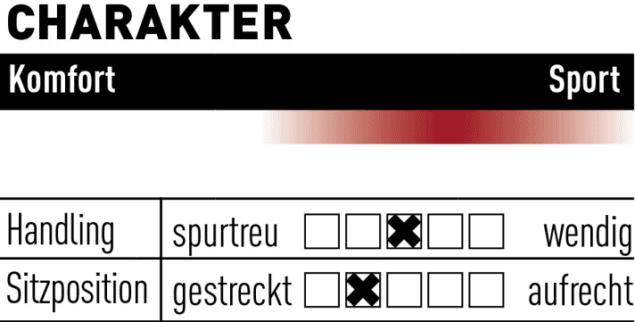   Quantor engine 5.9