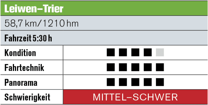   Durch endlose Weinberge schraubt sich die Route zum Aussichtsturm Fünf-Seen-Blick hinauf. Hier noch ein steiler Anstieg mit einem sehr anspruchsvollen Trail-Loop. Durch den Bikepark Mehring geht’s zurück ans Mosel-Ufer und flach dahin bis Ehrang. Dann über wellige Pfade an der Burg Ramstein vorbei, bis sich der Blick über die alte Römerstadt Trier öffnet.