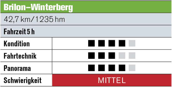   Tour 1: Brilon – Winterberg   Start ist am Briloner Marktplatz. Ein Pfad zieht die Möhnequelle hinauf, bis Stufen zum Schieben zwingen. Bei der Überquerung von Habberg und Ginsterkopf warten tolle Weitblicke, bevor die Bruchhauser Steine im Wald auftauchen. Ein langer Anstieg zum Langenberg (843 m), dann durch Hochheide-Landschaft bis nach Winterberg!
