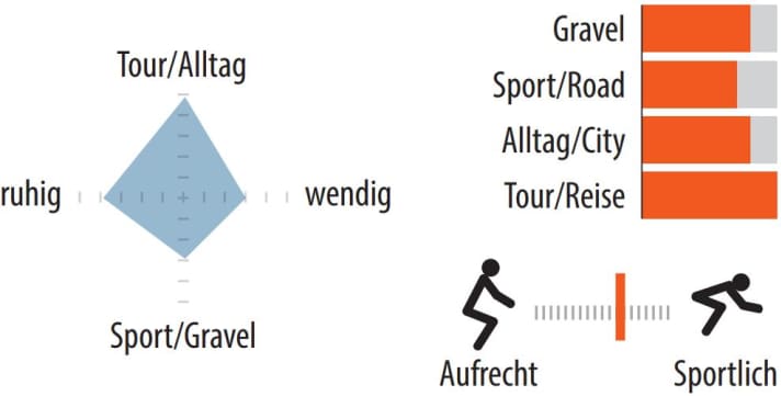 Einsatzbereich und Sitzposition des Koga Colmaro Extreme. | Grafik: MYBIKE