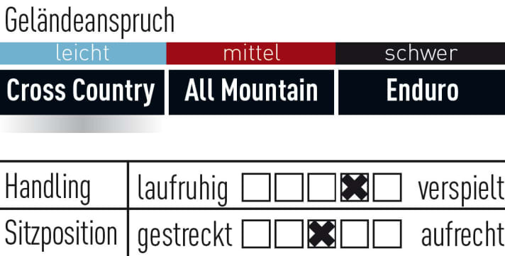   This is how the Corratec E-Power X-Vert 29 rides.