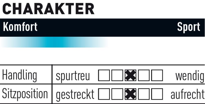 Mondraker E-Panzer R