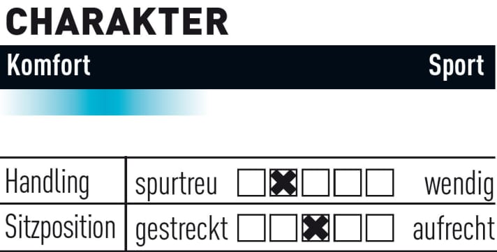 Haibike XDuro FatSix 8.0