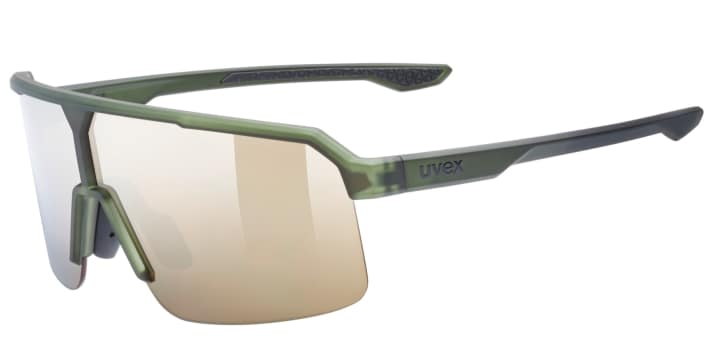 Hier das Einstiegsmodell in grün/olive. Preis: 69,95 Euro. Klingt fair.