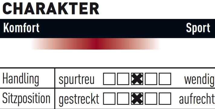   Canyon Spectral On 6.0