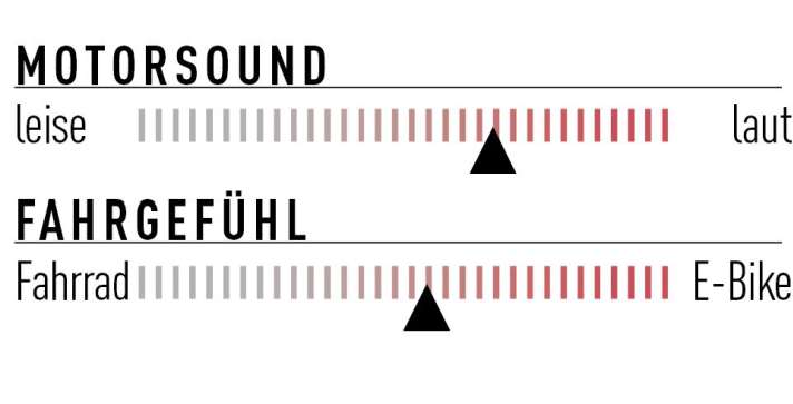 Der Motor-Sound ist nicht drastisch leiser als beispielsweise bei einem Bosch oder Shimano, doch die tiefe Frequenz macht das Geräusch subjektiv viel angenehmer. Bergab klappert nichts. Der Schub ist gleichförmig und besonders bei niedriger Trittfrequenz sehr kräftig.