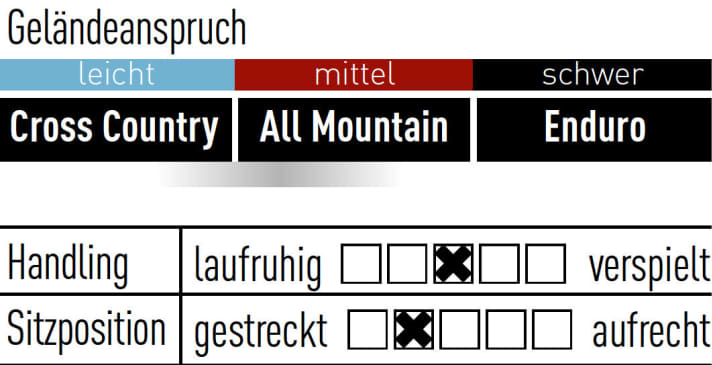   Bergamont E-Contrail 8.0+