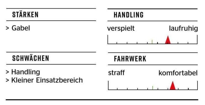 Giant Reign SX - Characteristics