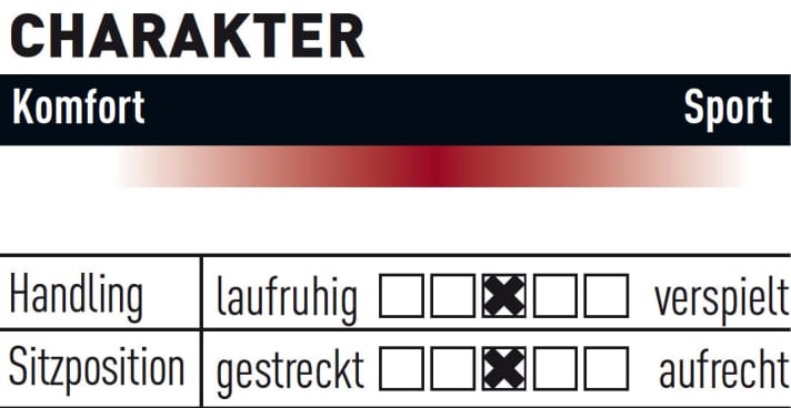   Cube Stereo Hybrid 140 TM