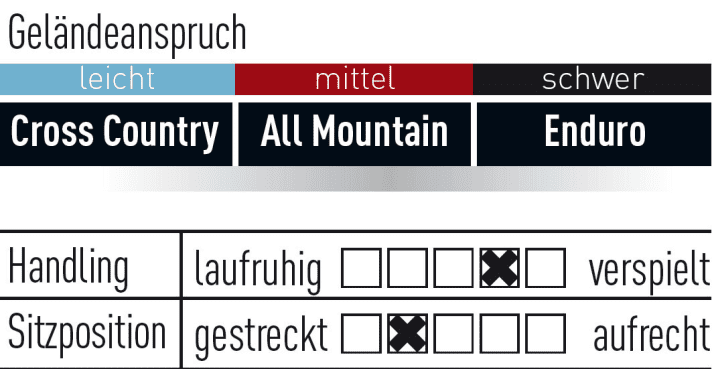   Focus Jam 2 Plus Pro
