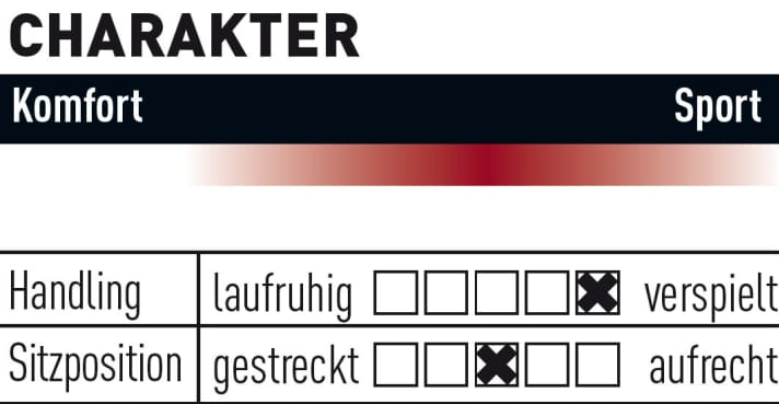   So fährt sich das Rocky Mountain Powerplay C90.