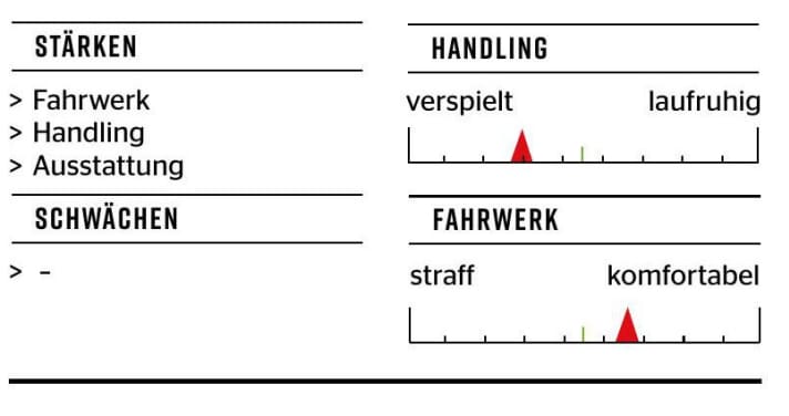 Radon Swoop 10.0 HD - Charakteristik