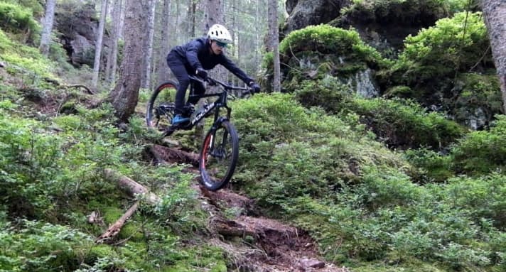   Maximilian: This picture was actually taken quite spontaneously when I was exploring the local trails with my bike buddy and we wanted to try out our photography skills. And it looks like it worked out quite well.