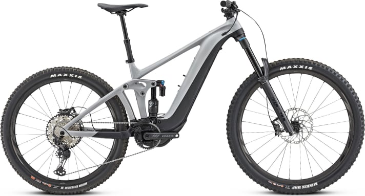 Example E-Enduro: prices from 5000 euros / suspension travel 160-190 mm / use: extreme terrain, bike parks