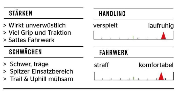 Norco Shore A1 - Characteristics