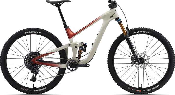 The Giant Trance Advanced Pro 0 costs 11,999 euros - without a motor.