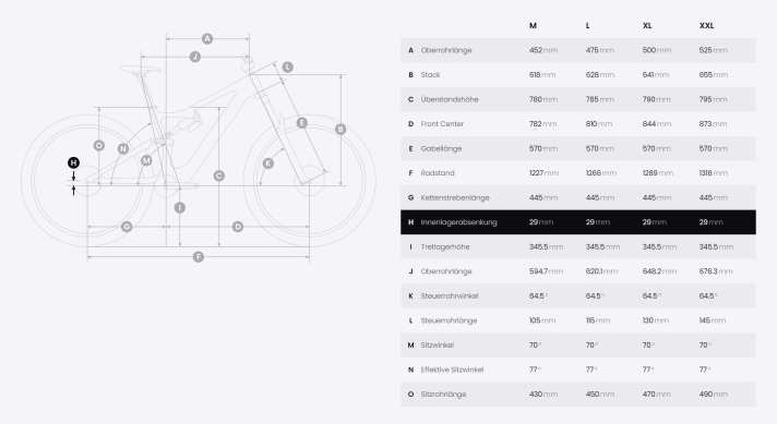 Hinter der Angabe “Oberrohrlänge” versteckt sich beim Amflow der Reach. Das PL Carbon gibt es in den vier Größen M, L, XL und XXL. Kleine Fahrerinnen und Fahrer schauen in die Röhre.