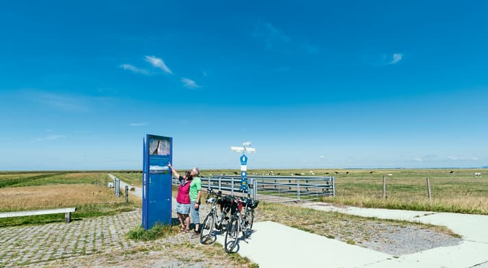 Numerous information boards provide information about nature in the Wadden Sea National Park.