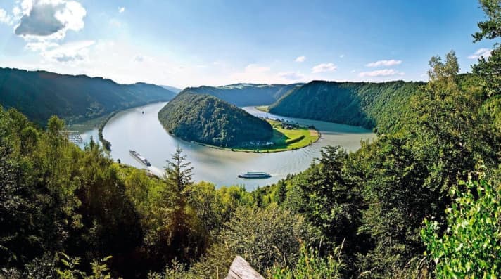   Blick auf die Schlögener Donauschlinge.