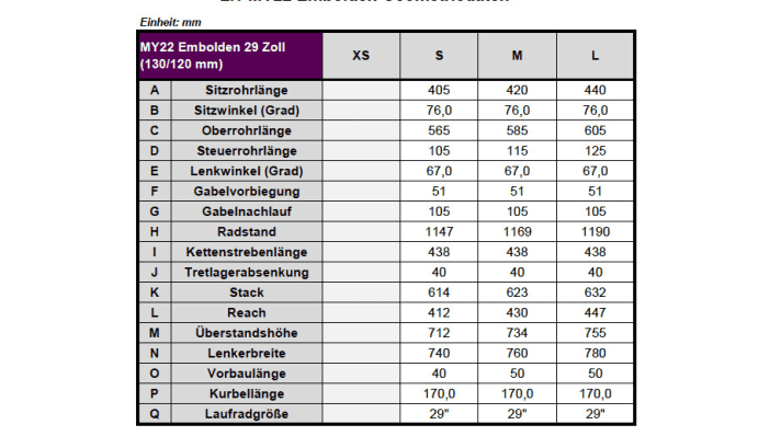 The geometry of the 29-inch version of the Liv Embolden at a glance.