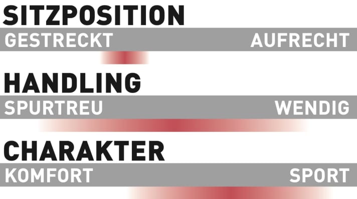 Specialized Turbo Levo Expert - Charakteristik