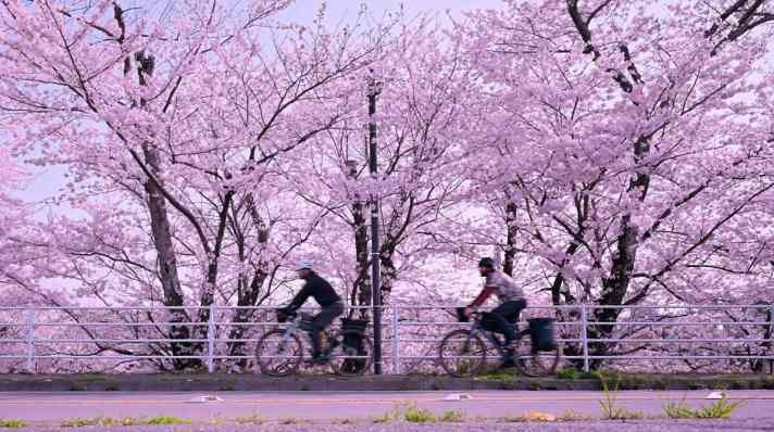 Okawari, s'il vous plaît !