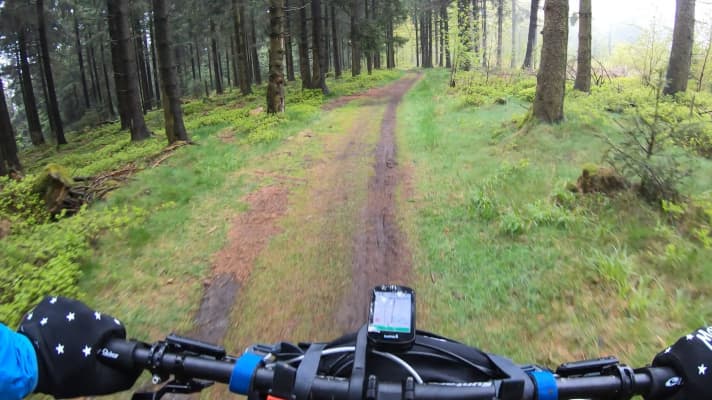 Großes Etappenfinale, der Langenberg-Trail: die letzte Abfahrt des Tages und die Belohnung für den langen Uphill.