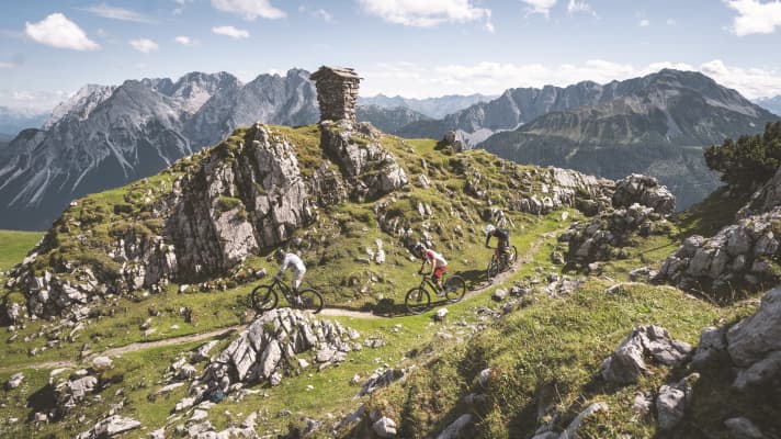 Riding fun on an MTB should only partly be a question of price. We have tested eleven bikes with a particularly good price-performance ratio.