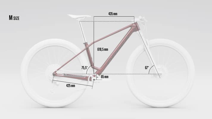 Geometry of the Orbea Alma 2025