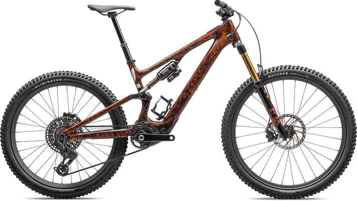 Factory suspension, transmission, carbon wheels: the Pro only differs from the S-Works in details, but is a whopping 2500 euros cheaper.