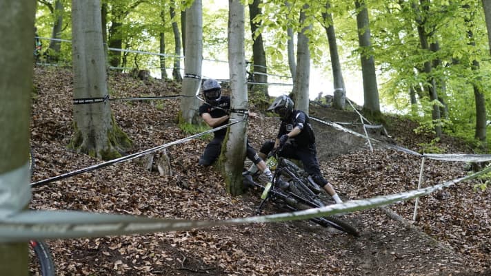   Verknotet im Wald.