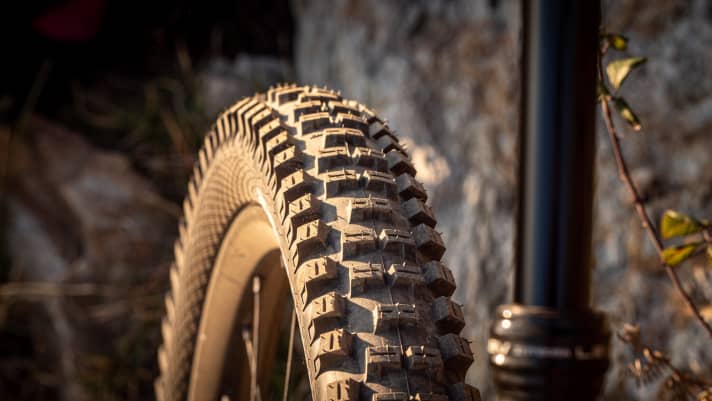   Schwalbe's Big Betty relies on wide, grippy braking edges and also has sharp claws in the drive direction - for plenty of traction uphill.