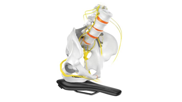 Many nerves run in and along the pelvis - in both men and women. This is why it is so important to avoid bruising and irritation.