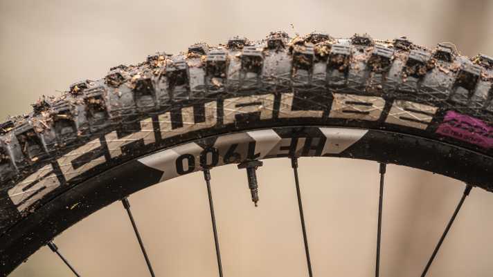 Smart: Wo bei anderen Bikes ein klobiger Magnet auf dem Ventil sitzt, hat Focus den Magnet zur Geschwindigkeitsmessung des Bosch-Systems unsichtbar im Felgenbett versteckt.