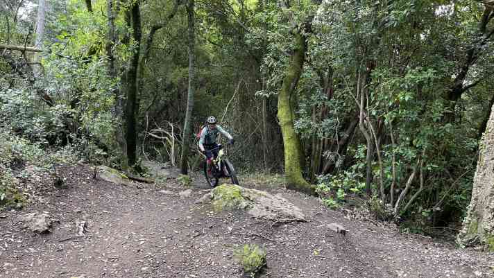 Perfekte Teststrecke, auch für E-MTB-Einsteiger: Auf dem Spaghetti-Uphill am Monte Arsenti in Massa Marittima sorgte das Focus Jam² für Uphill-Flow.