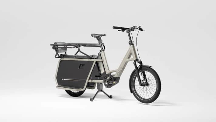 Der Newcomer: Qio Long