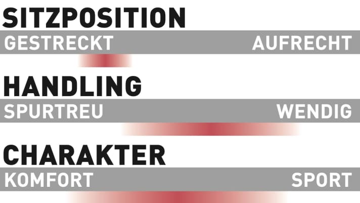 Rotwild R.X 735 Pro - Charakteristik