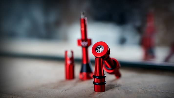 Le noyau de la valve ferme la tige par le bas. Cela a pour but d'empêcher le lait d'étanchéité de revenir dans la valve et de l'obstruer.