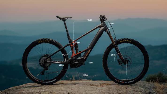 Die Geometrie des Orbea Wild 2025 in Größe L.