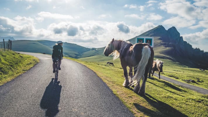 Spät am Abend des dritten Tages passieren die Radlerinnen die Almen am Col d’Irau – noch wartet ein letzter Anstieg